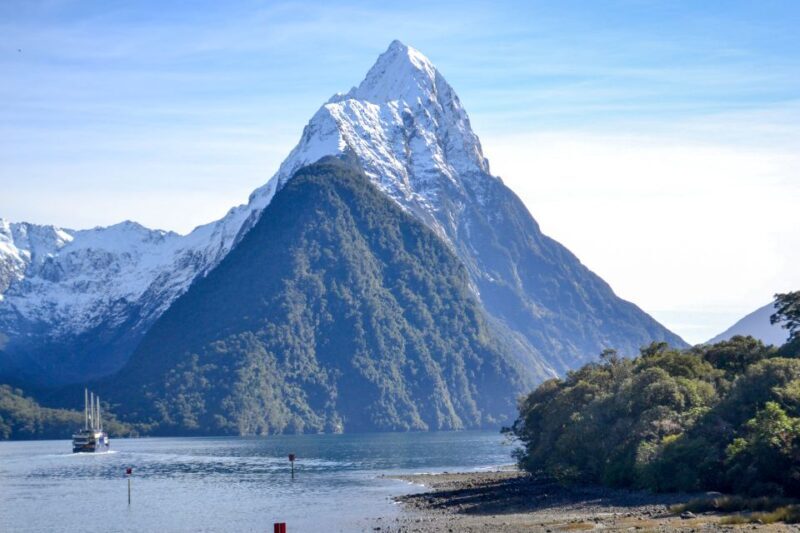 From Queenstown: Milford Sound Premium Day Tour and Cruise - The Whole Journey: What to Expect from Start to Finish