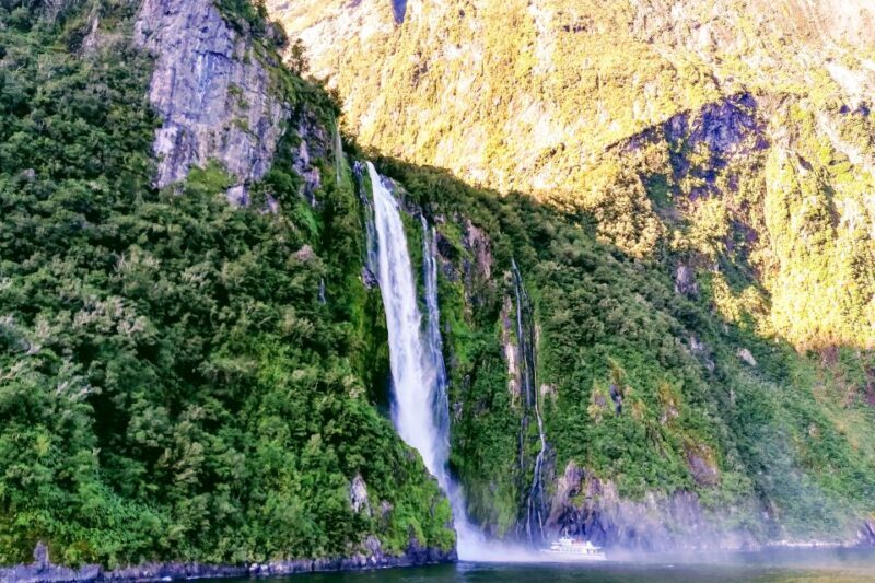 From Queenstown: Milford Sound Premium Day Tour and Cruise - Final Thoughts