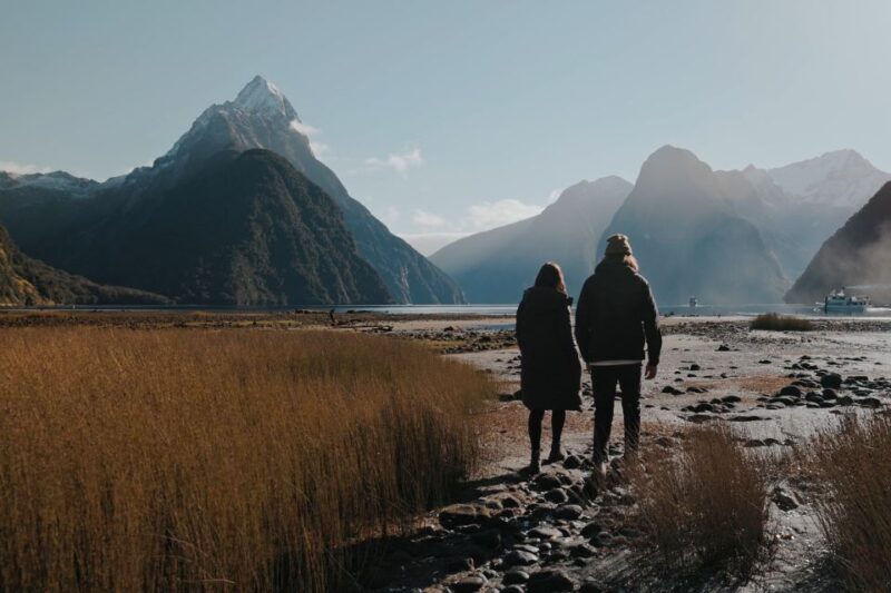 From Queenstown: Milford Sound Scenic Flight & Nature Tour - An In-Depth Look at the Milford Sound Scenic Flight & Nature Tour