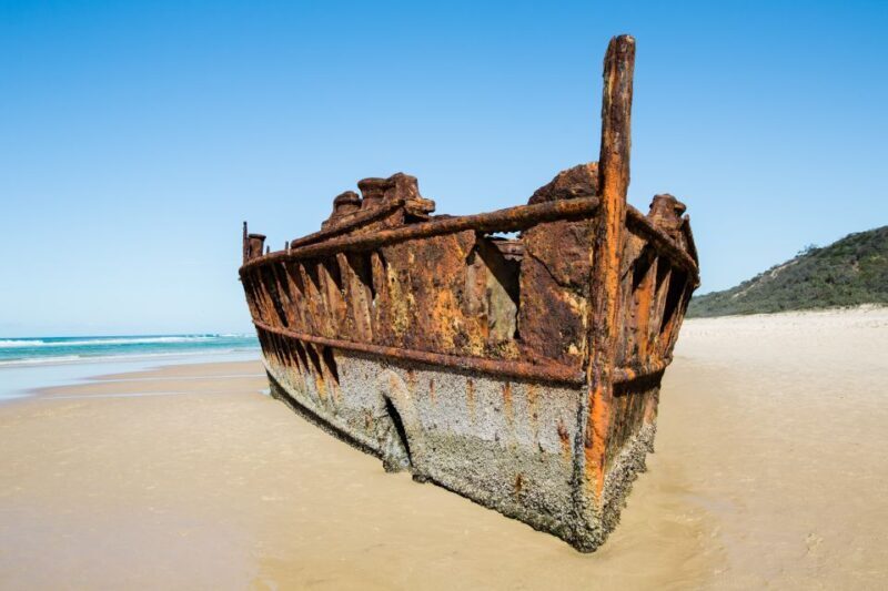 From Rainbow Beach: K'gari Fraser Island Full-Day Coach Tour - A Deep Dive into the Fraser Island Experience