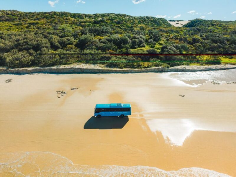 From Rainbow Beach: K'gari Fraser Island Full-Day Coach Tour - Final Thoughts: Who Should Take This Tour?