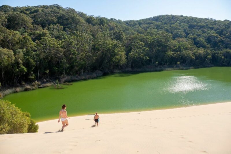 From Rainbow Beach: K'gari, Fraser Island Two-Day Coach Tour - Final Thoughts