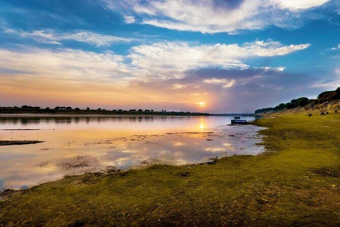 From Ranthambore:National Chambal Alligator Private Trip All Incl - The Sum Up