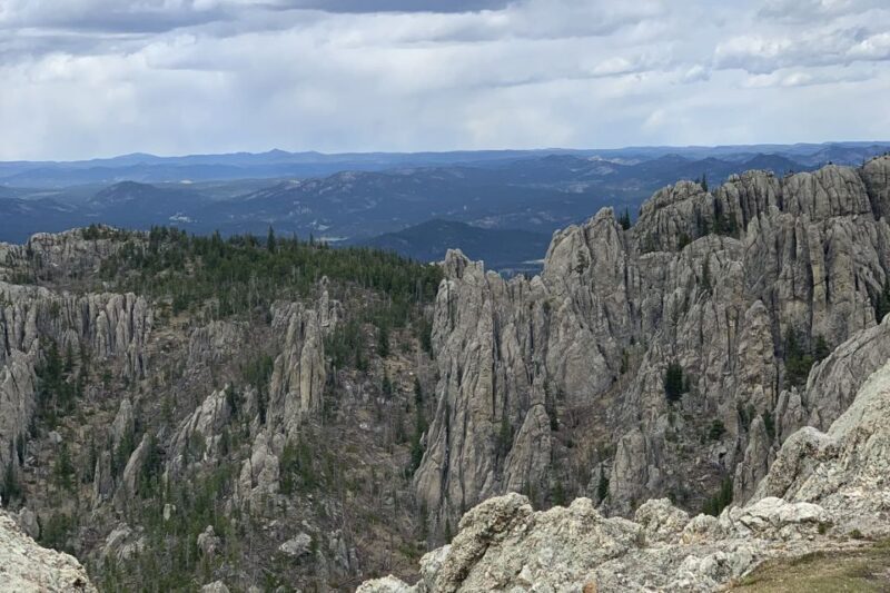 From Rapid City: Custer State Park Private Safari and Hiking - Who Would Enjoy This Tour?