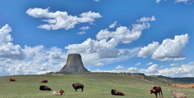 From Rapid City: Devils Tower National Monument Day Trip - Who Is This Tour Best For?
