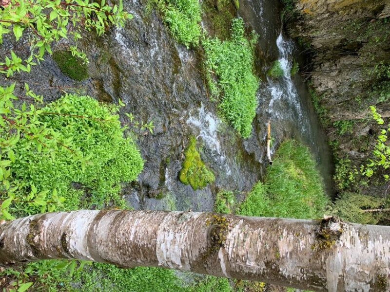 From Rapid City: Private Spearfish Canyon Tour - Why This Tour Offers Great Value