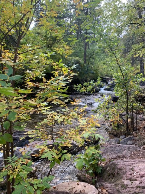 From Rapid City: Private Spearfish Canyon Tour - Frequently Asked Questions