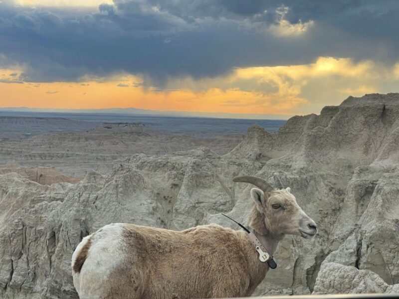 From Rapid City: Sunset, Stars and Silhouettes - Key Points