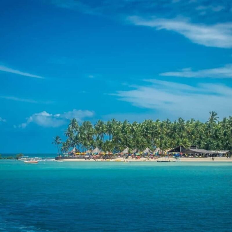 From Recife : Carneiros Beach - From Recife: Carneiros Beach — A Day of Natural Beauty and Authentic Charm