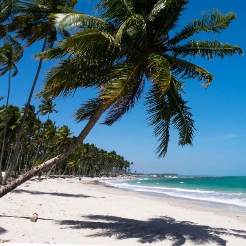 From Recife : Carneiros Beach - Key Points