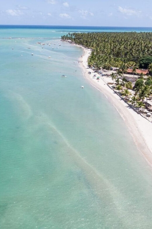 From Recife : Carneiros Beach - FAQ