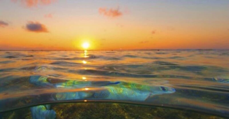 From Recife : Tour for Porto de Galinhas - Who Will Love This Tour?