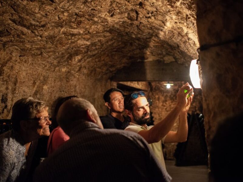 From Reims: Champagne and Family-Run Wineries Tour - Final Thoughts