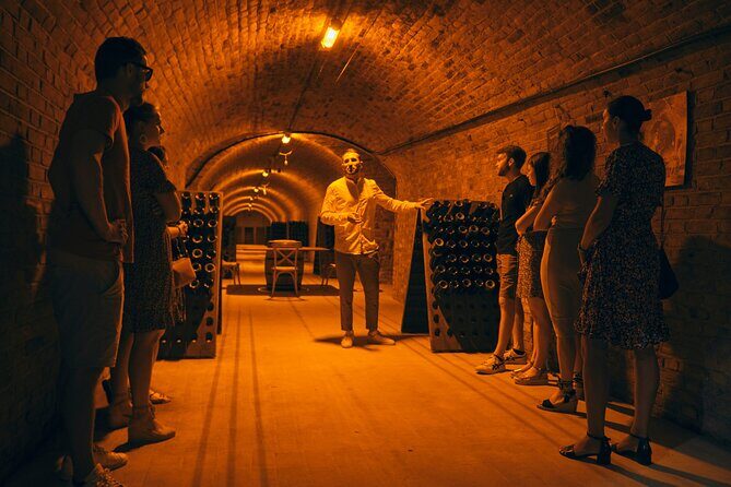 From Reims morning Champagne family growers - Who Should Book This Tour?