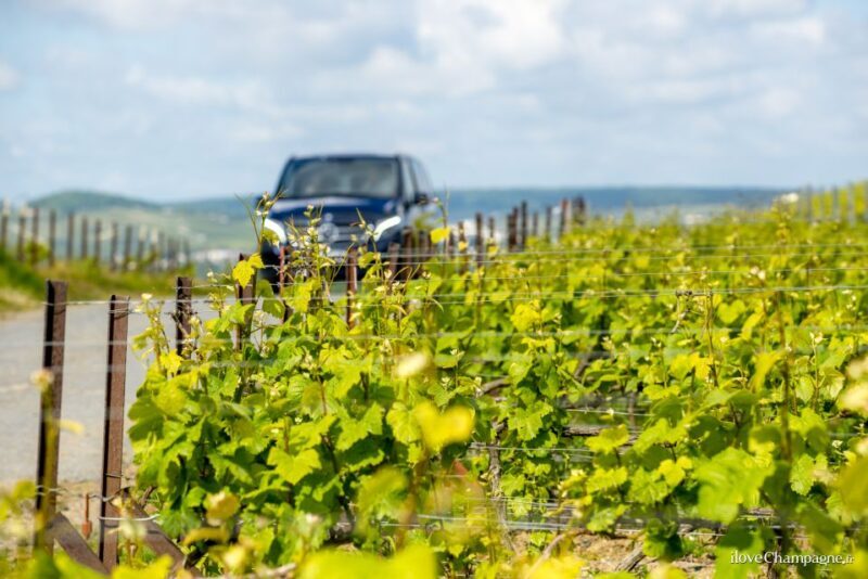 From Reims: Morning Champagne Tour and Tastings - Key Points