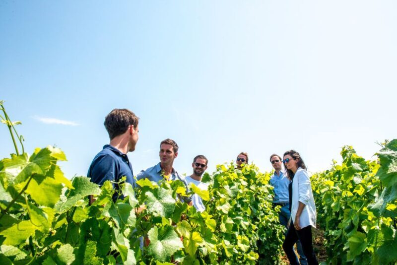 From Reims: Morning Champagne Tour and Tastings - Source