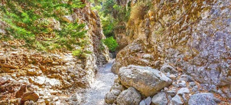 From Rethymno: Imbros Gorge & Libyan Guided Sea Tour - A Complete Look at the Imbros Gorge & Libyan Sea Guided Tour