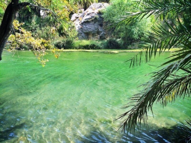 From Rethymno: Preveli Palm Beach and Kourtaliotiko Day Trip - FAQs