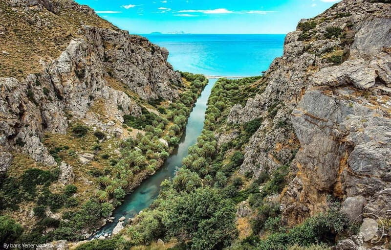 From Rethymno: Preveli Palm Forest, Damnoni and Plakias Tour - Key Points
