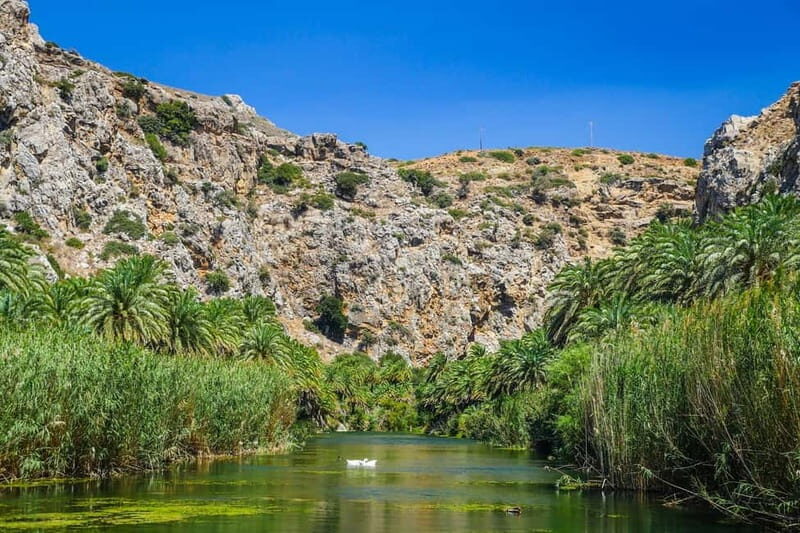 From Rethymno: Preveli Palm Forest, Damnoni and Plakias Tour - Exploring Crete’s Southern Coast: An In-Depth Review