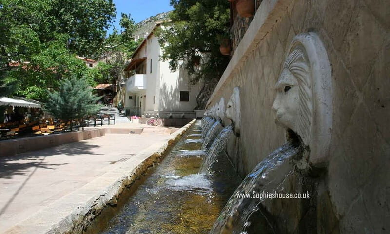 From Rethymno: Preveli Palm Forest, Damnoni and Plakias Tour - The Sum Up