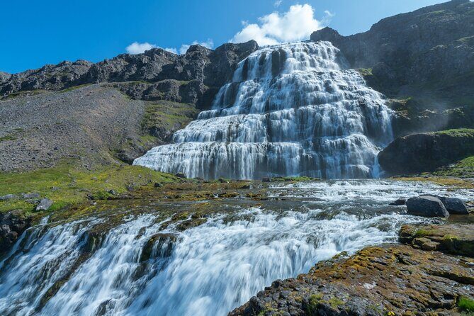 From Reykjavík: 3-Day Tour of the Wild and Wonderful Westfjords - Key Points
