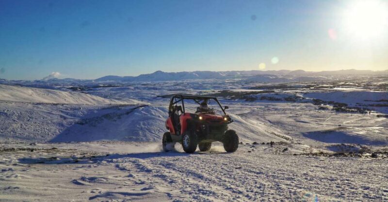 From Reykjavik: Buggy & Whale Watching Adventure - Final Thoughts