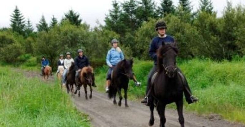From Reykjavik: Full-Day Horse Riding & Golden Circle Tour - Exploring the Tour: An In-Depth Look