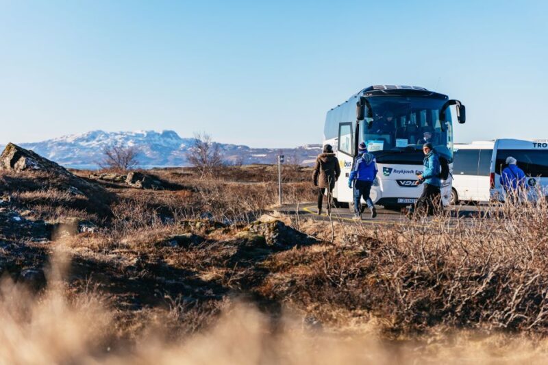 From Reykjavik: Golden Circle and Glacier Snowmobiling - Some Considerations