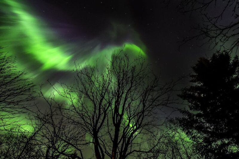 From Reykjavik: Golden Circle and Northern Lights Tour - Authenticity and Realism