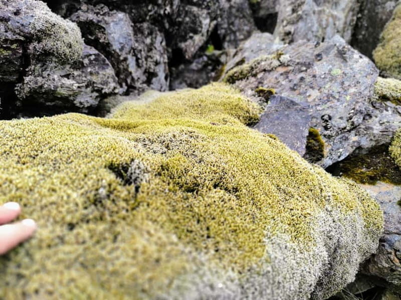 From Reykjavik: Landmannalaugar Private Tour with Transfer - The Marvel of Hnausapollur Crater and Sigöldugljúfur