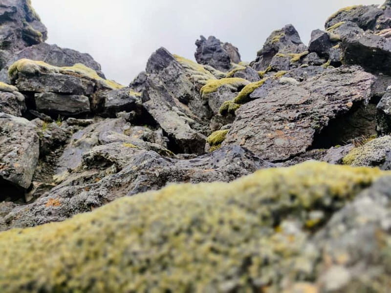 From Reykjavik: Landmannalaugar Private Tour with Transfer - Authenticity and Value