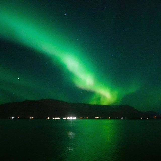 From Reykjavik: Northern Lights Boat Cruise - FAQs