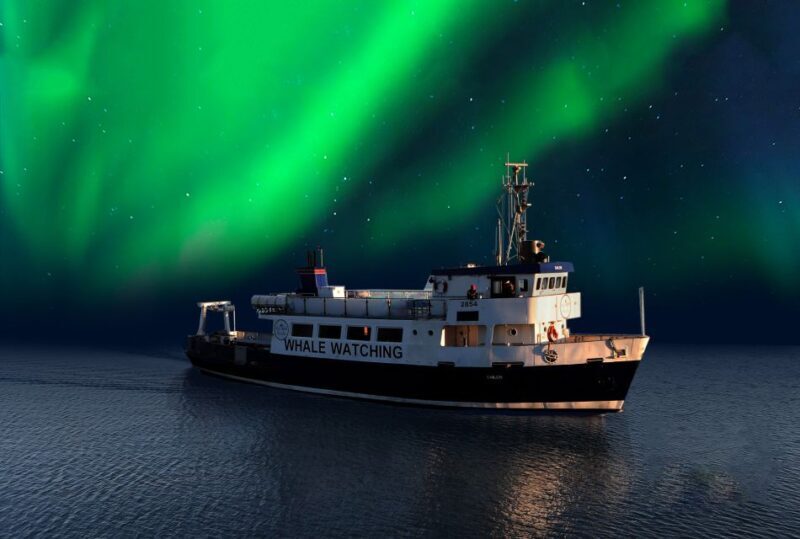From Reykjavik: Northern Lights Sightseeing Cruise - Key Points