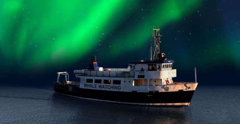 From Reykjavik: Northern Lights Sightseeing Cruise - The Sum Up
