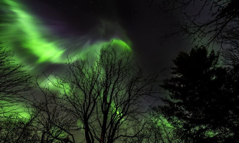 From Reykjavik: Northern Lights Tour with Lifetime Guarantee - Key Points