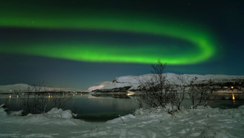 From Reykjavik: Northern Lights Tour with Lifetime Guarantee - Practical Tips Before You Book
