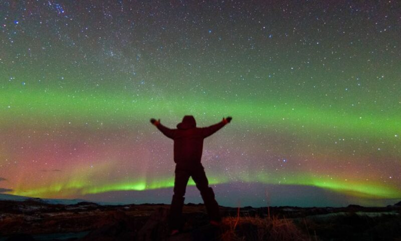 From Reykjavik: Northern Lights Tour with Lifetime Guarantee - In The Sum Up