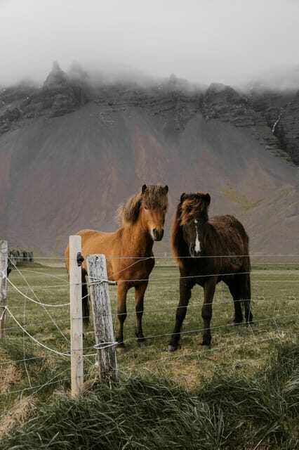 From Reykjavik: Private Golden Circle and South Coast Tour - An In-Depth Look at the Experience
