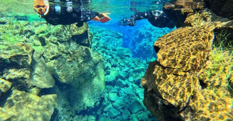 From Reykjavík: Silfra Snorkeling with free photos - Authentic Experiences from Travelers