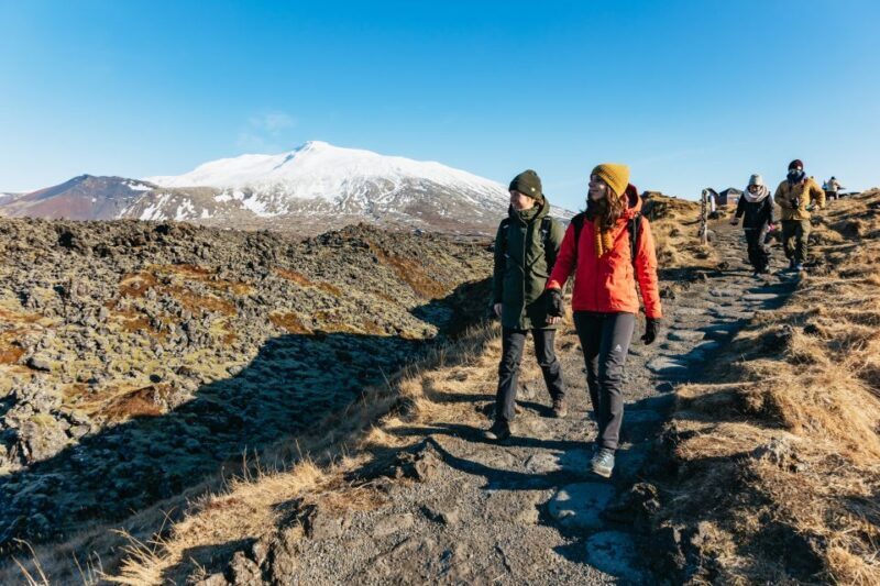 From Reykjavik: Snæfellsnes Peninsula Full-Day Tour - Who Should Take This Tour?