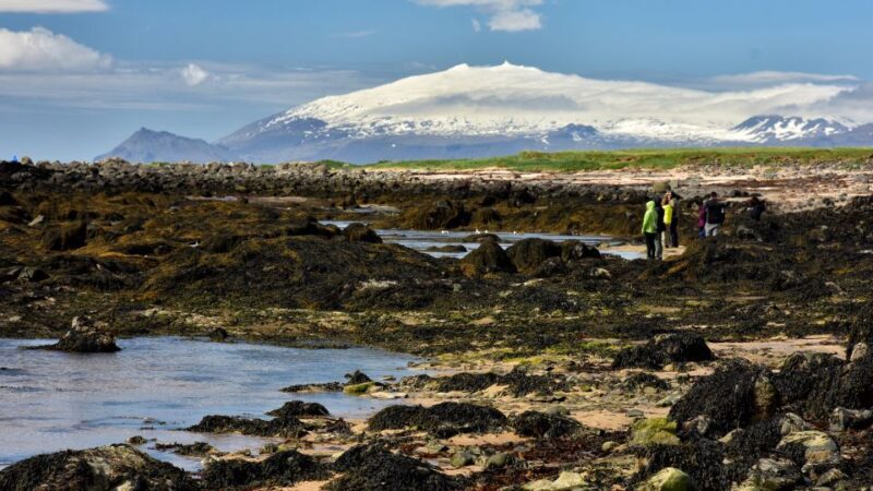From Reykjavik: Snaefellsnes - Small Group, Lunch Included - Who This Tour Is Best For