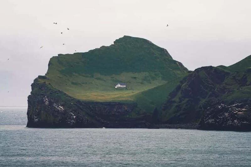 From Reykjavik: Vestmannaeyjar Islands Day Trip - Final Thoughts