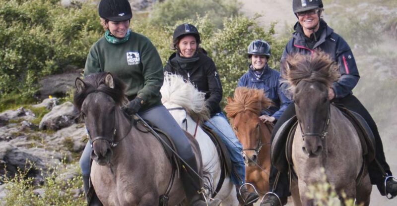 From Reykjavík: Viking Horseback Tour in Hafnarfjörður - A Deep Dive into the Viking Horseback Tour