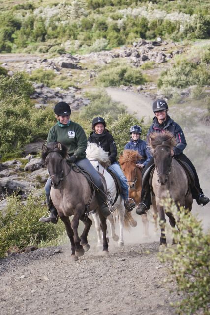 From Reykjavík: Viking Horseback Tour in Hafnarfjörður - Who Should Consider This Tour?