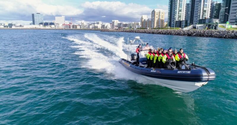 From Reykjavik: Whale Watching Tour by Speedboat - Final Thoughts