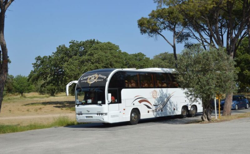 From Rhodes: Bus Tour to Lindos and the Seven Springs - Exploring Rhodes’ Natural Beauty at Seven Springs