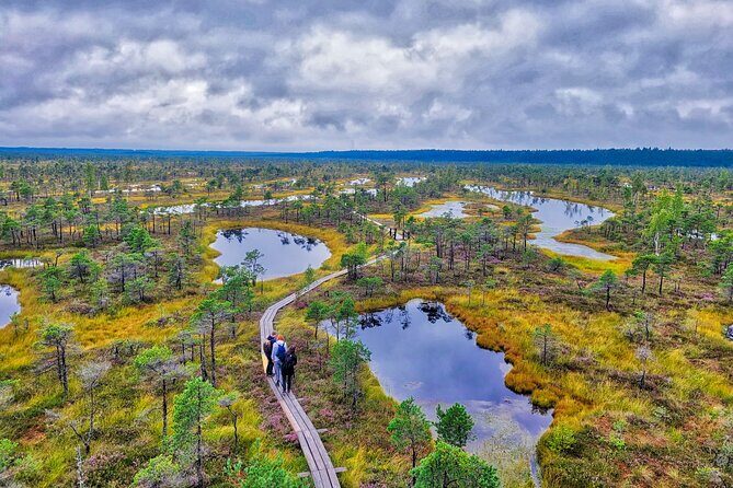 From Riga: Best of Kemeri National Park In One Day - From Riga: Best of Kemeri National Park In One Day — A Natural Escape Worth Remembering