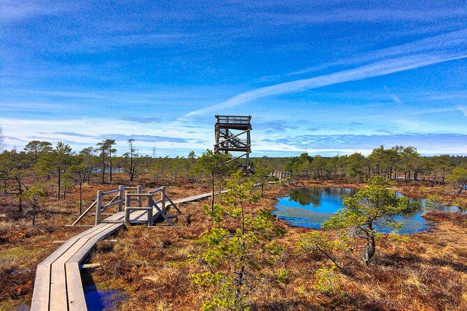 From Riga: Best of Kemeri National Park In One Day - Key Points