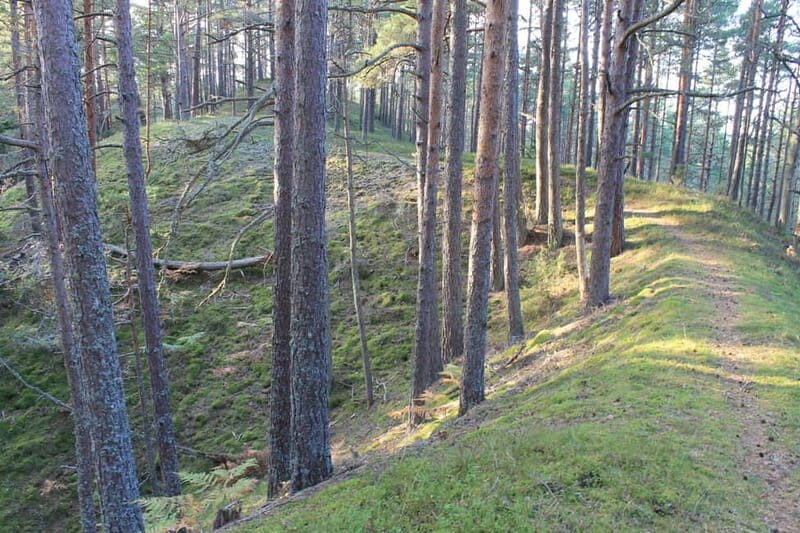 From Riga: Budget Day Trip to Kolka in Zen style! - Who Should Consider This Tour?